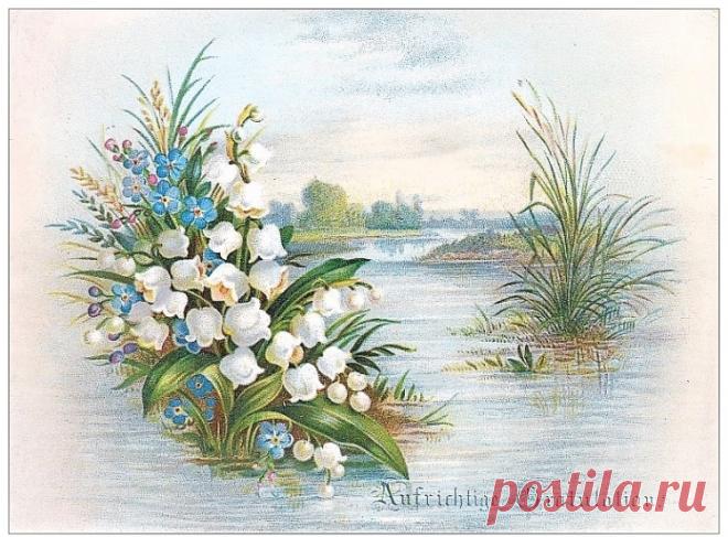 383730-cead5-103586225-m750x740-uf8bb7.jpg (750×553)