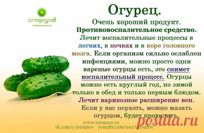 Огурец