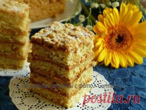 Торт на сгущённом молоке. Рецепт с фото. Пошаговые фотографии. Gurmel