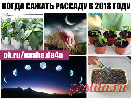 4 непрочитанных чата