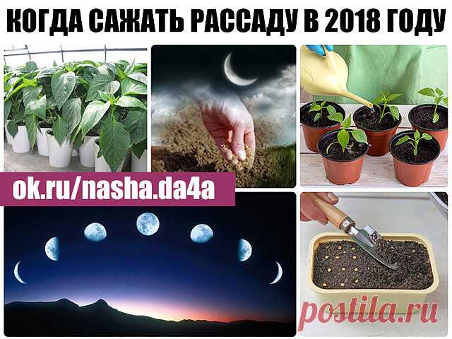 4 непрочитанных чата