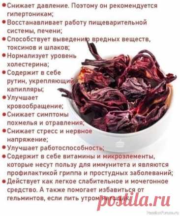 Лечебные свойства каркаде