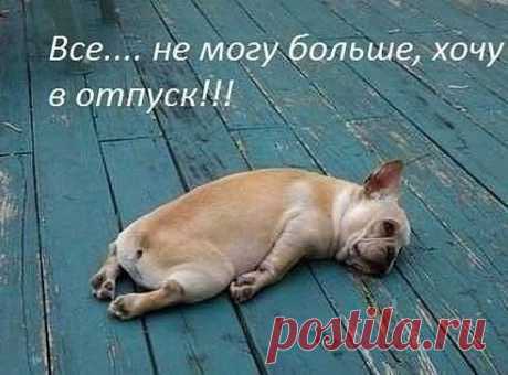 Красноярск: что, где, куда