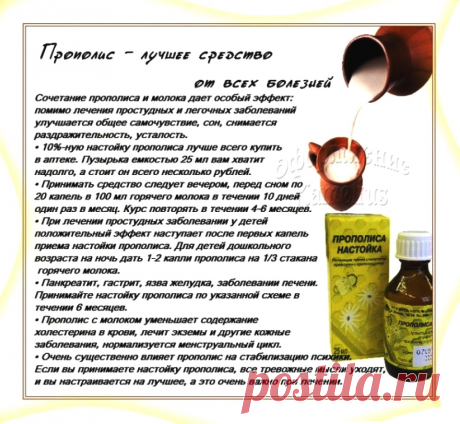 Прополис - лучшее средство от всех болезней