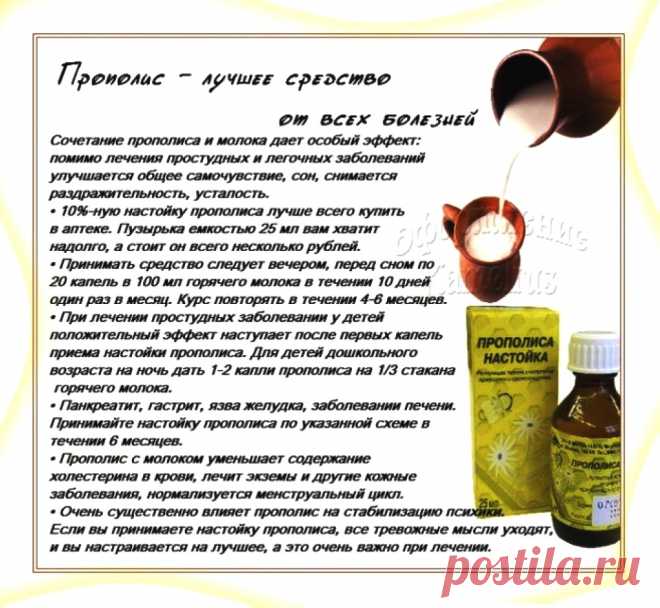 Прополис - лучшее средство от всех болезней
