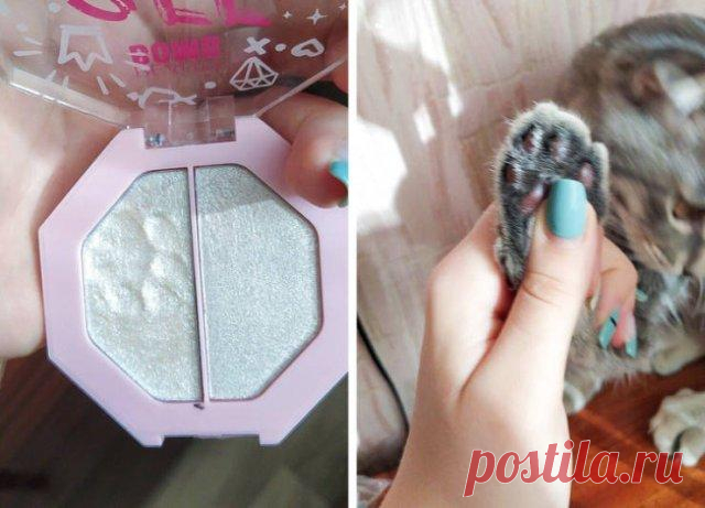 Почему домашних животных лучше не оставлять дома без присмотра Домашние питомцы ─ те же дети: без присмотра их оставлять ни в коем случае нельзя. Потому что если вы ошибочно понадеетесь на их спокойное поведение, то, вернувшись в дом, обнаружите совершенно не ту ...