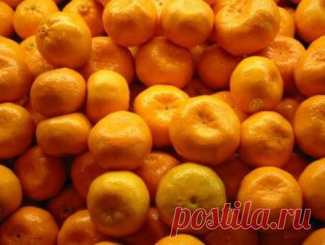 Как отличить абхазские мандарины от китайских | Журнал ЛПХ Экоферма | Яндекс Дзен