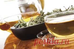 Не дуйтесь! 3 рецепта для борьбы с метеоризмом | Здоровая жизнь | Здоровье | Аргументы и Факты