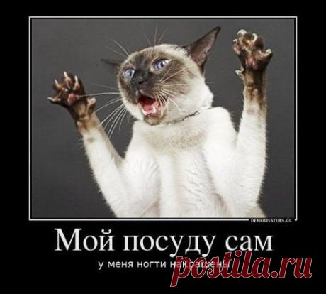 И сохнут минимум 2 часа)))