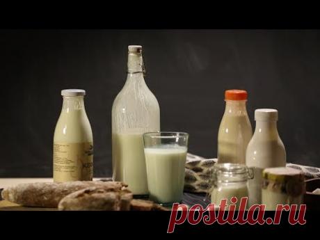 Чем кефир и ряженка лучше йогурта