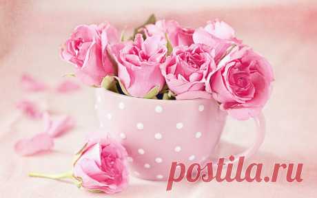 Скачать обои pink, cup, roses, чашка, букет, розы, раздел цветы в разрешении 1280x800