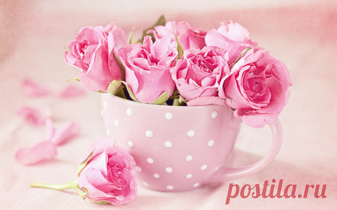 Скачать обои pink, cup, roses, чашка, букет, розы, раздел цветы в разрешении 1280x800