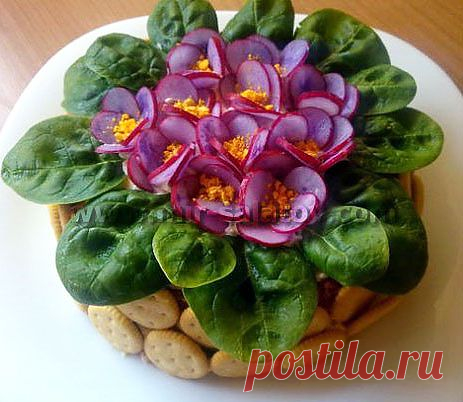 Праздничные салаты с фото. Салат Фиалка