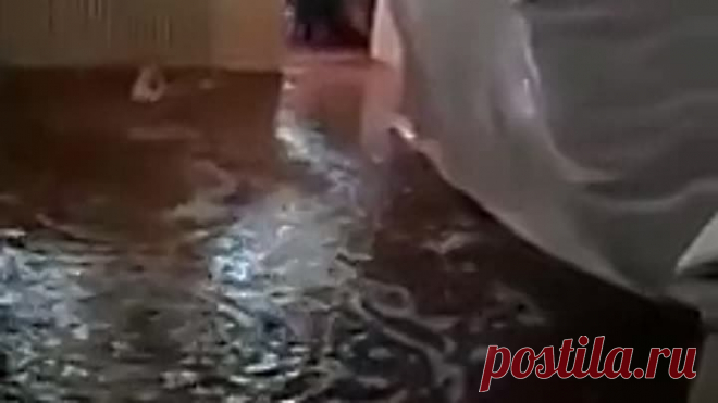 Затопили соседи! Прекрасное утро. Натяжной потолок.