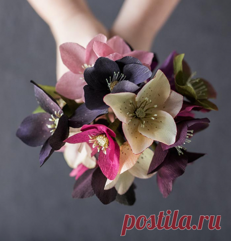 Paper Hellebore Tutorial by Kate Alarcón | Design*Sponge