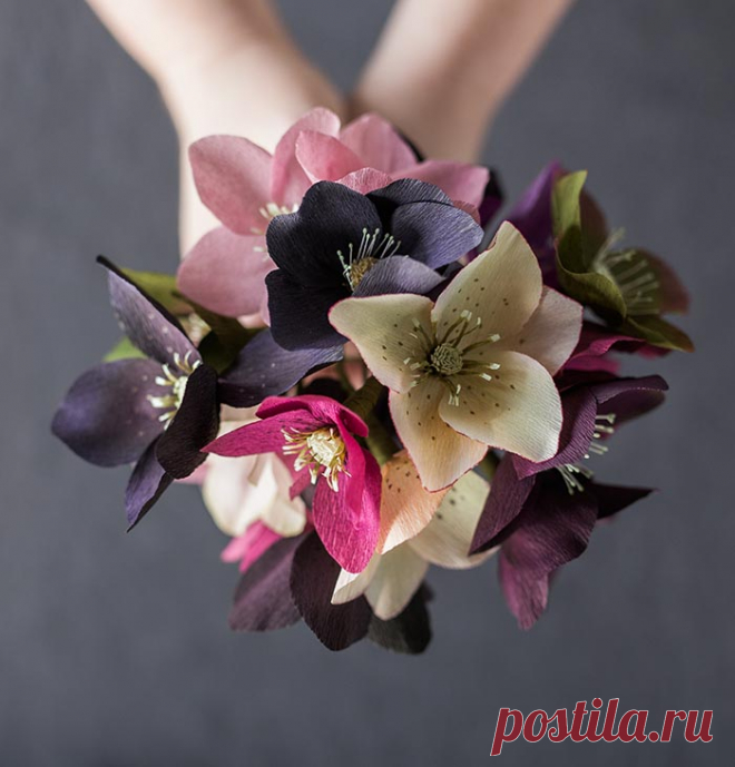 Paper Hellebore Tutorial by Kate Alarcón | Design*Sponge