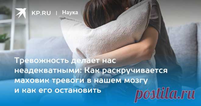 Тревожность делает нас неадекватными: Как раскручивается маховик тревоги в нашем мозгу и как его остановить Ученые выяснили, как справиться с тревогой
