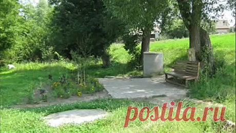 (8) Одноклассники