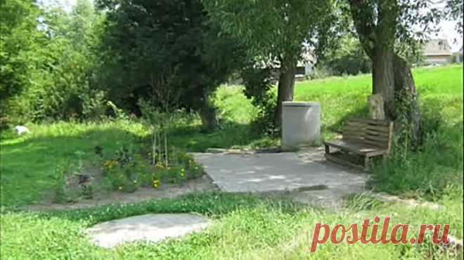 (8) Одноклассники