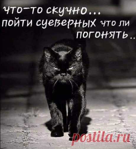 и