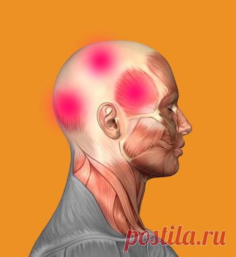 Как снять головную боль без таблеток
Никто не застрахован от головной боли. Она может нахлынуть внезапно или действовать по нарастающей. Специальный массаж головы поможет вам справиться с головной болью. Он прост в выполнении и почти не имеет противопоказаний. В дополнение — еще несколько советов как убрать головную боль. Когда одолевает головная боль, мы привычно хватаем спасительную таблетку и принимаем ее. Можно […]
Читай пост далее на сайте. Жми ⏫ссылку выше