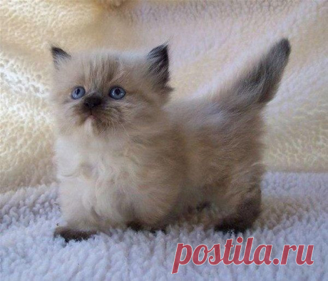 Интересные новости