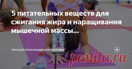 Йога для начинающих для здоровья Пост автора «Йога для начинающих для здоровья» в Дзене ✍:  5 питательных веществ для сжигания жира и наращивания мышечной массы  Сжигайте жир с помощью правильной пищи  Сжигание жира — это непрерывный