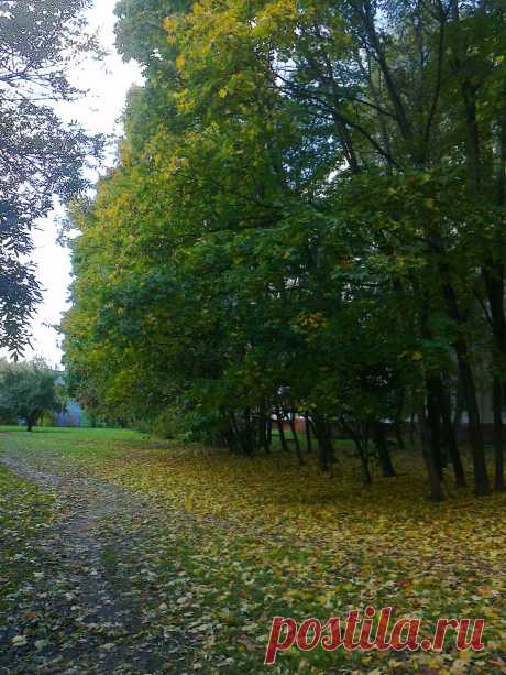 осень...осень..