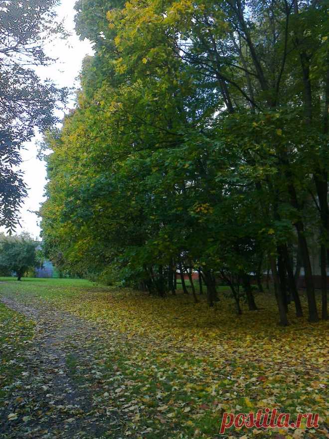 осень...осень..