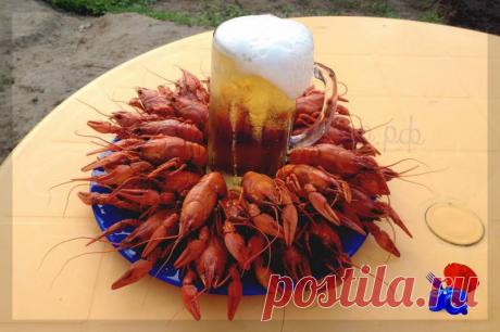 Рецепт приготовления вареных раков. Варить я буду на костре в ведре. Можно по этому рецепту сварить и в кастрюле дома на плите