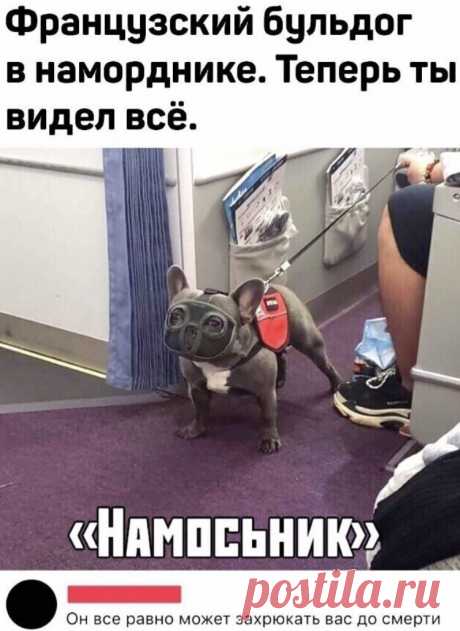 ))