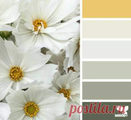 Design Seeds® | find your palette