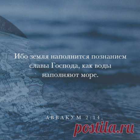 Сегодня 23 ноября, Международный день Библии. О Национальной ассоциации Библия
Национального Библии ассоциации, базирующейся в Нью-Йорке, является некоммерческой, образовательной ассоциации бизнес-лидеров, действующих на площади. С 1940 года Ассоциация сосредоточена исключительно на поощрение чтение Библии в каждом секторе общества, независимо от религиозной или политической различия. Для дополнительной информации посетите nationalbible.org.
