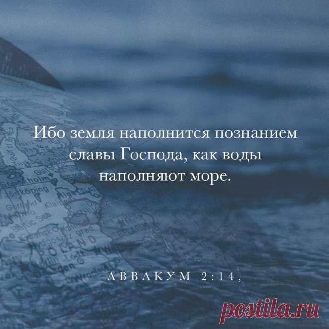 Сегодня 23 ноября, Международный день Библии. О Национальной ассоциации Библия
Национального Библии ассоциации, базирующейся в Нью-Йорке, является некоммерческой, образовательной ассоциации бизнес-лидеров, действующих на площади. С 1940 года Ассоциация сосредоточена исключительно на поощрение чтение Библии в каждом секторе общества, независимо от религиозной или политической различия. Для дополнительной информации посетите nationalbible.org.