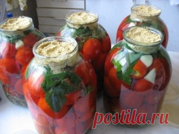 Вкусные квашеные помидоры с горчицей - Вкусные рецепты что приготовить