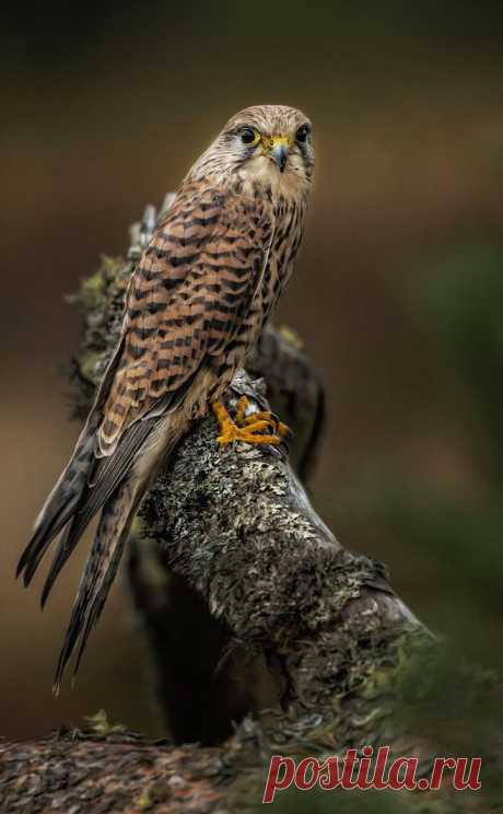 500px / Bl***y Photographers.... by Paul Keates