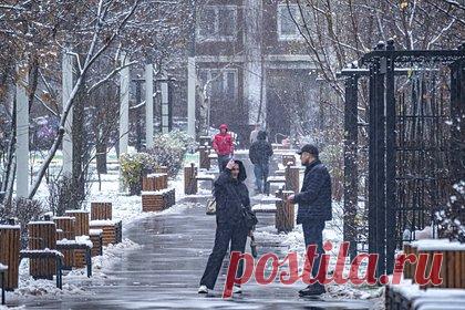 Москвичам спрогнозировали зимы с редким снегом