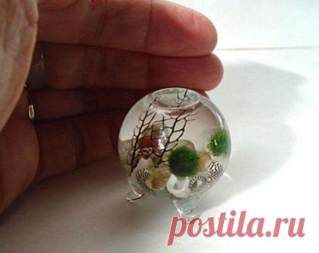Миниатюрный аквариум как элемент декора ~ Planetalsad