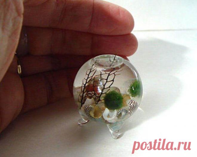 Миниатюрный аквариум как элемент декора ~ Planetalsad