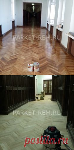 Покрытие паркета в школе лаком | Циклевка паркета