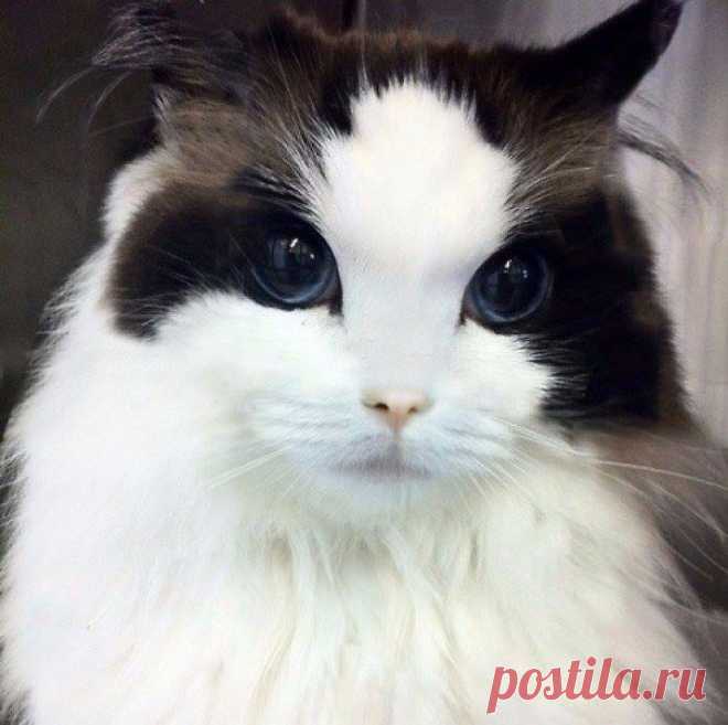 (2) Ирина Марзабекова поделилась фото Живая Земля. - Ирина Марзабекова