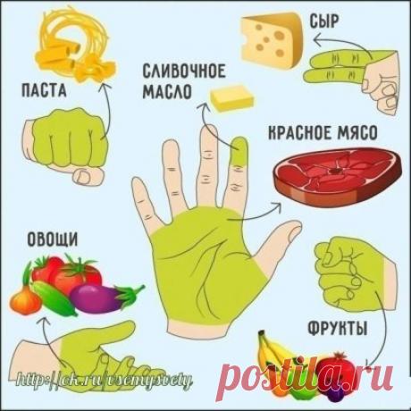 Сколько еды нужно съедать за раз
Не обязательно садиться на жесткую диету и есть одни брокколи, — достаточно просто ограничить себя в количестве еды.
5 принципов «ручной» диеты
1...