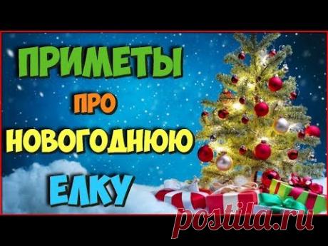 НАРОДНЫЕ ПРИМЕТЫ про НОВОГОДНЮЮ ЕЛКУ Вот почему НЕ СТОИТ приносить живую елку в ДОМ - YouTube