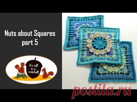 Nuts about Squares Week 5