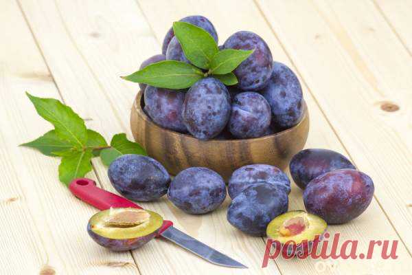 Заготовки из сливы на зиму - Простые рецепты Овкусе.ру