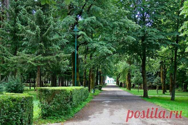 Cetinje