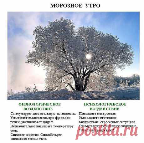 Исцеляющие фотографии