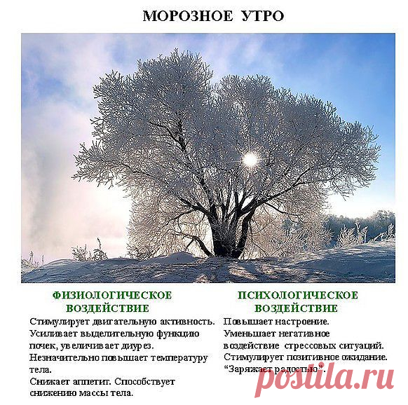 Исцеляющие фотографии