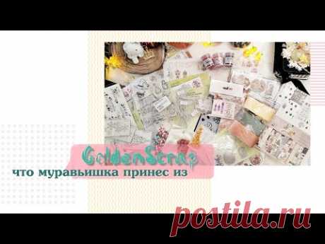 Что муравьишка принес из GoldenScrap/ обзор покупок и дизайн посылки