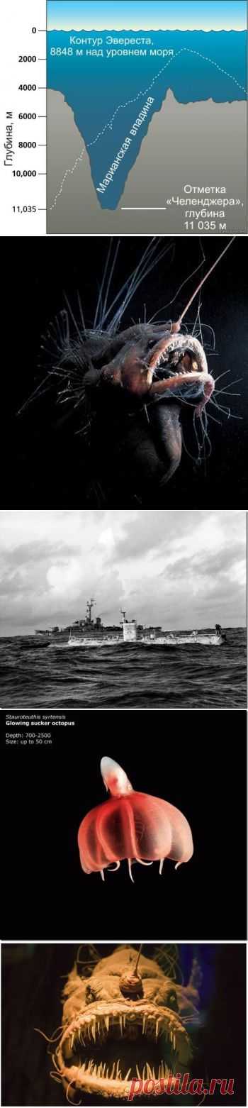 Неизвестная Земля:Марианская впадина